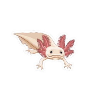 Axolotl Sticker