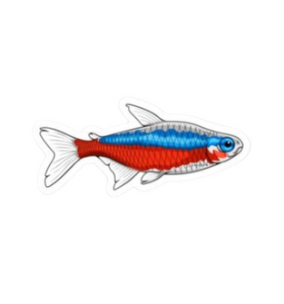 Cardinal Tetra Sticker