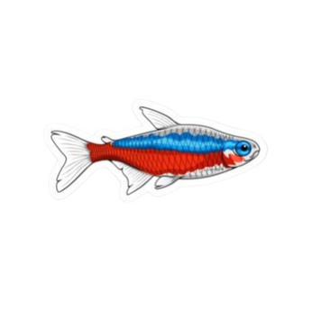 Cardinal Tetra Sticker