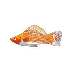 Sailfin Molly Sticker